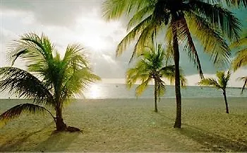 Vista De La Bahia Otel Montego Bay